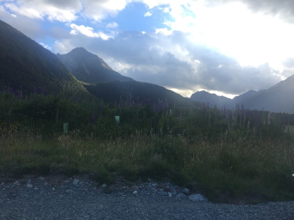 Neuseeland - Cascade Creek - 