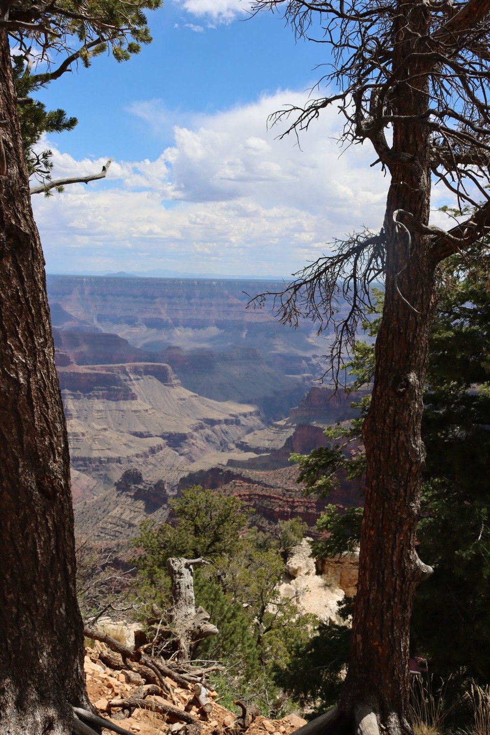 USA - Page - Grand Canyon North Rim