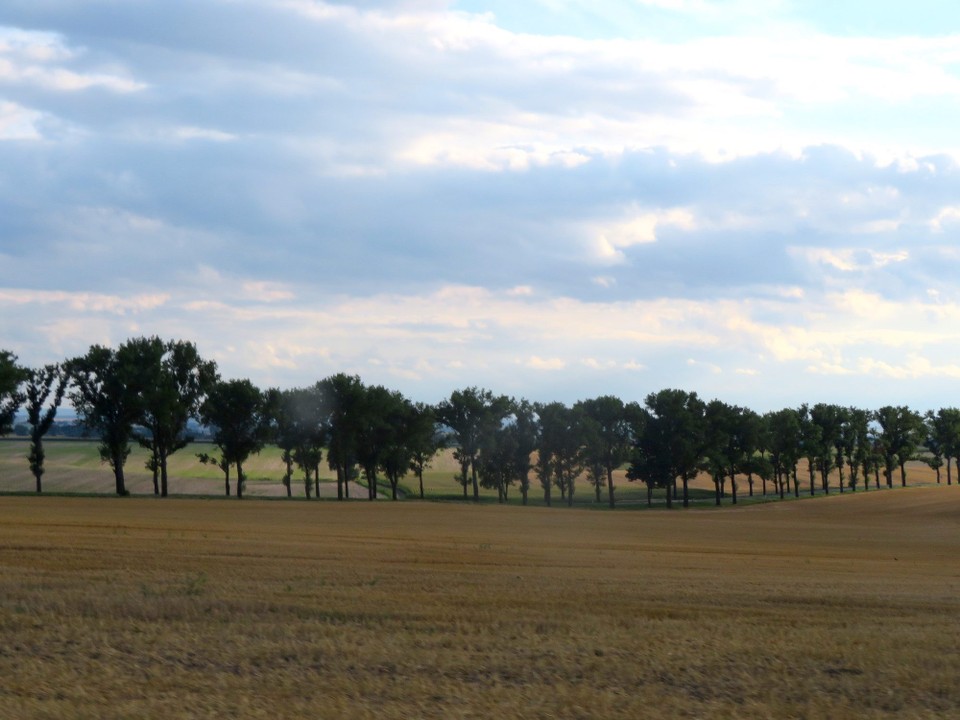 Polen - Moschen - 