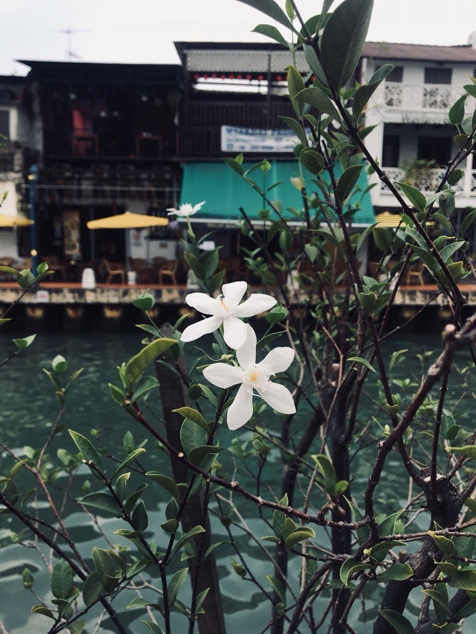 Malaysia - Malakka - 