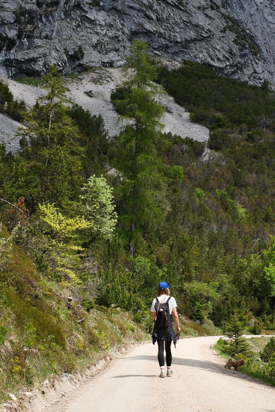 Österreich - Scharnitz - 