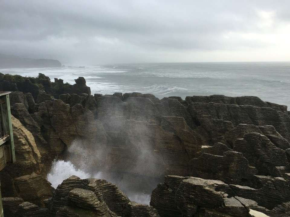New Zealand - Paparoa National Park - 