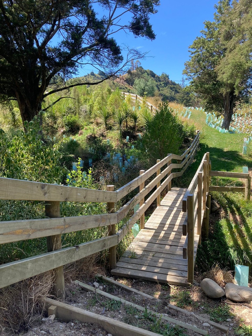 Neuseeland - Brightwater - 