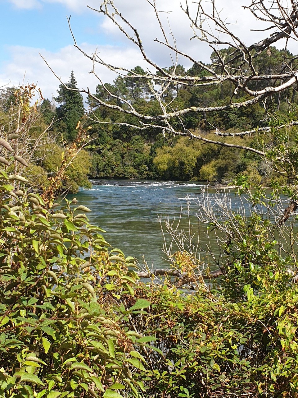 Neuseeland - Taupo - 