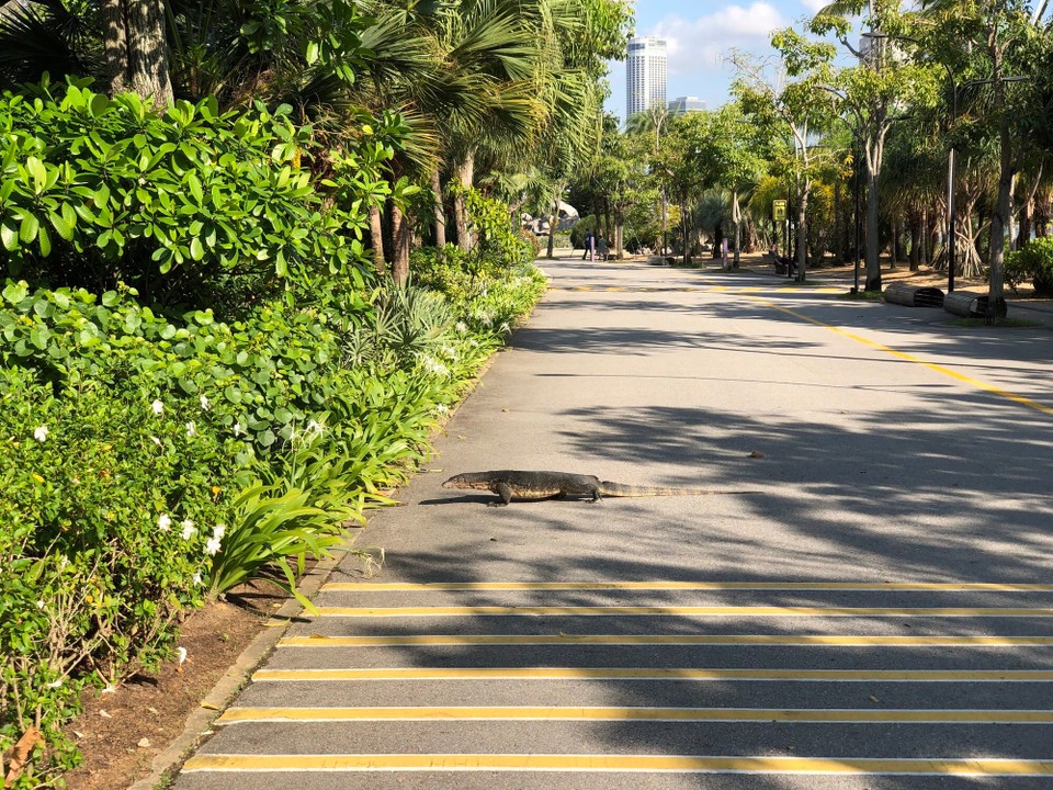 Singapur - Macpherson - 