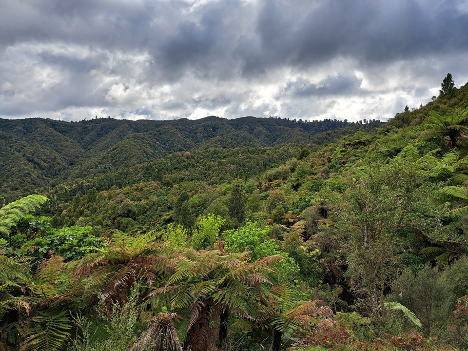 Neuseeland - unbekannt - 