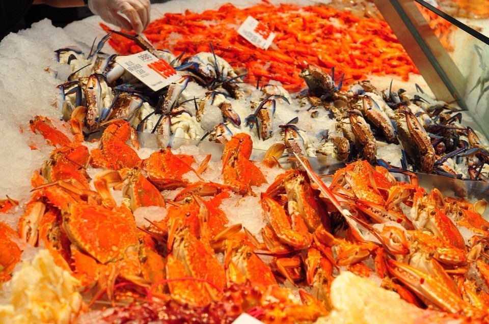 Australien - Pyrmont - Fish market 