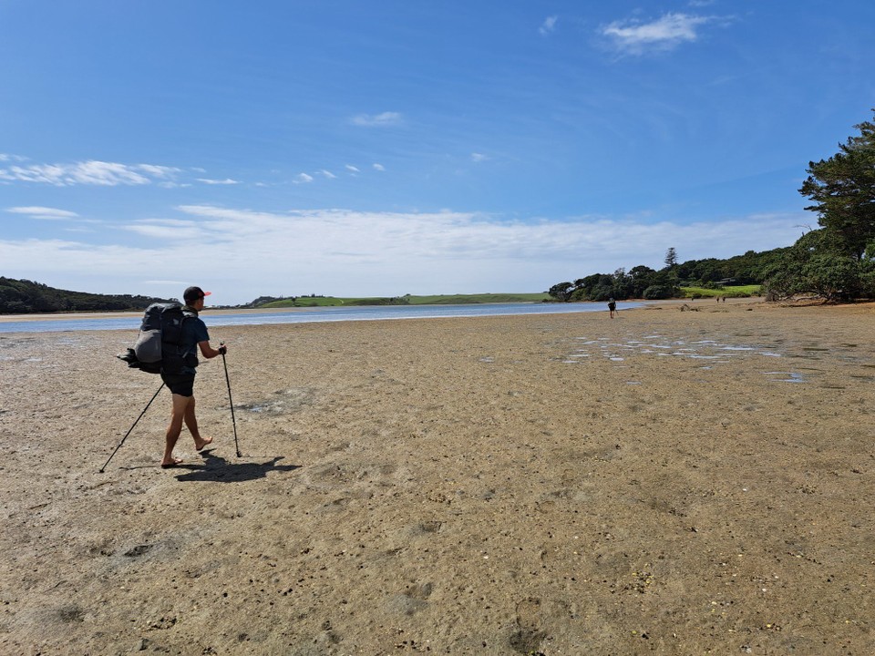 Neuseeland - Whangārei Heads - Wirder Schuhe aus und durchs Wasser und Sumpf 