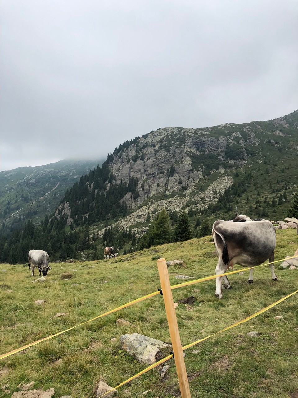 Italien - Unsere Liebe Frau im Walde-Sankt Felix - 