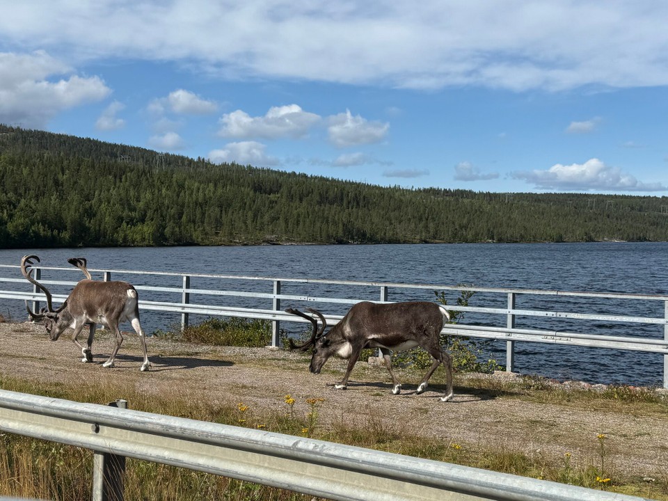 Schweden - Östersund -  