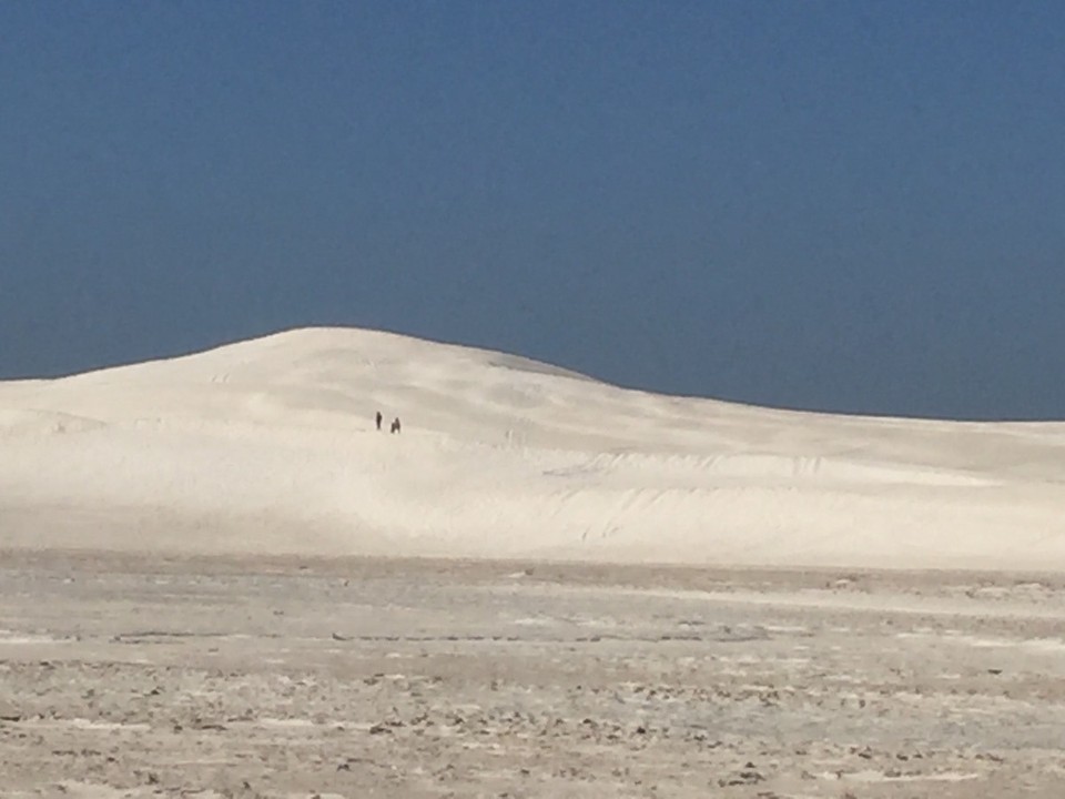 Australien - Ascot - Weise Düne von Lancelin 