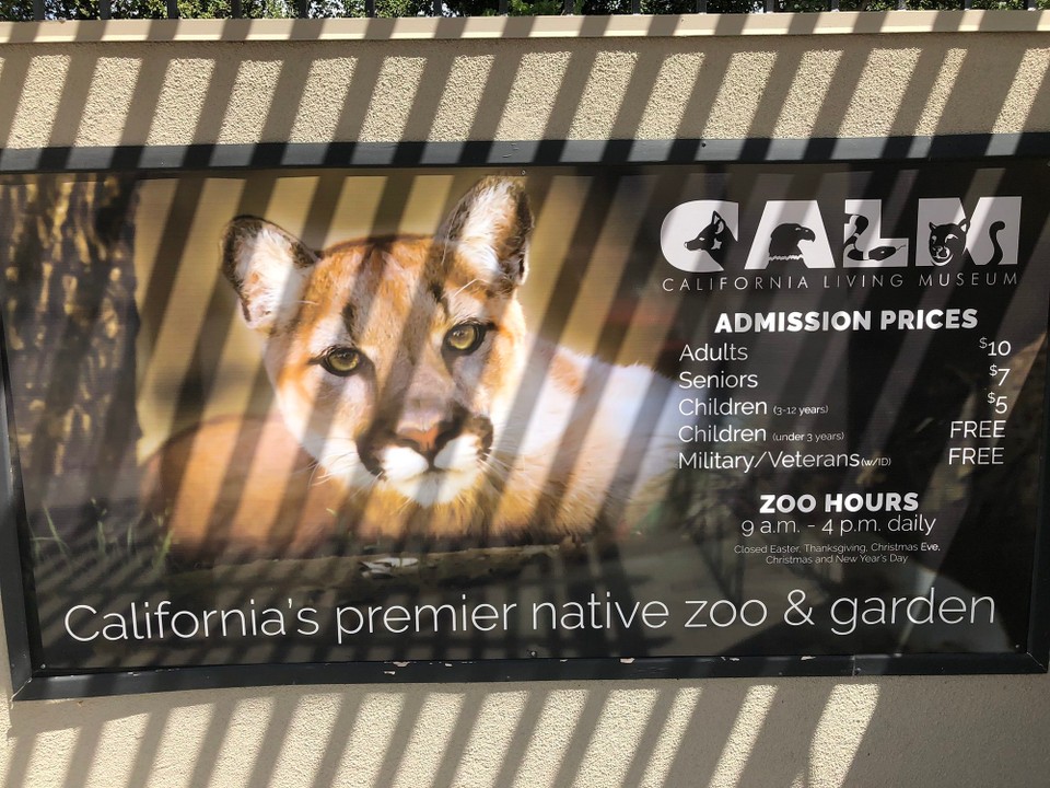 Vereinigte Staaten - Bakersfield - 22.07.2019 - CALM - California Living Museum