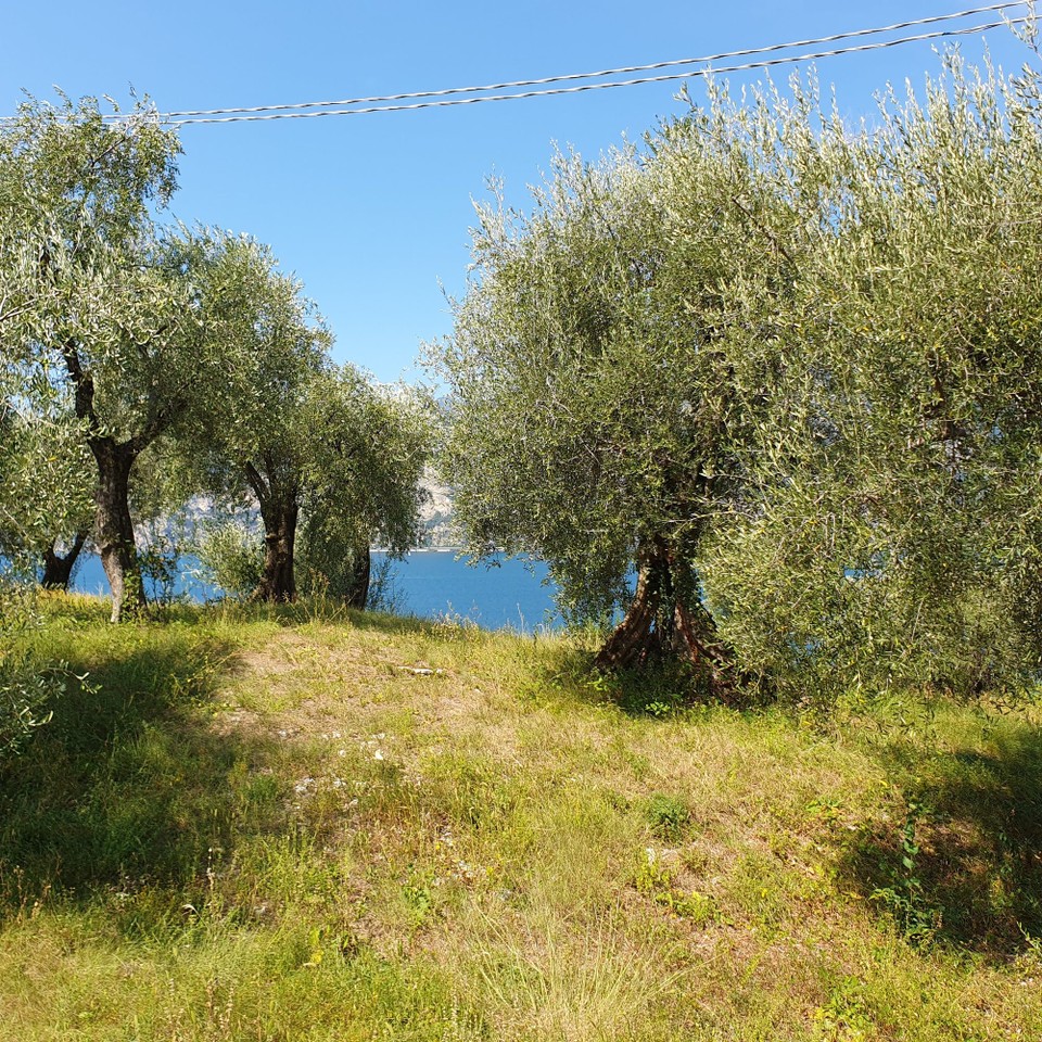 Italien - Malcesine - 
