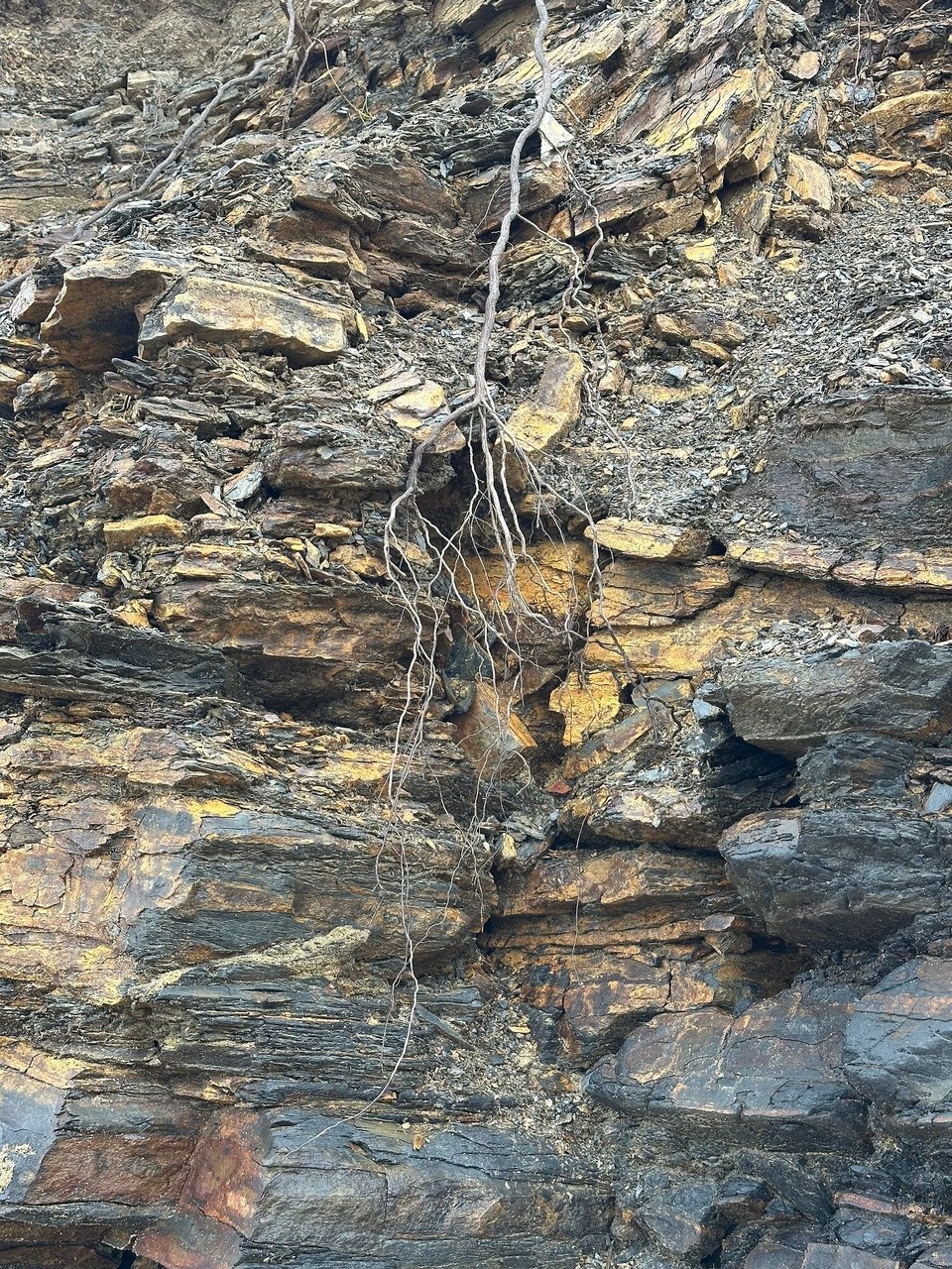 Portugal - Aljezur - 