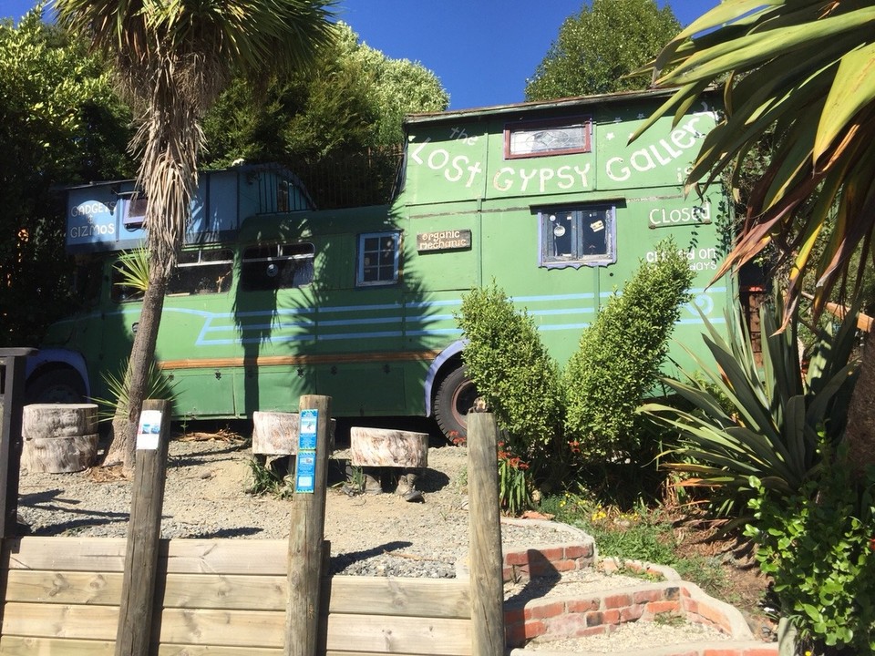 Neuseeland - Kaka Point - Gypsy Gallery