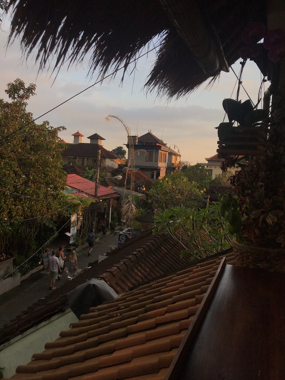 Indonesia - Denpasar - Ubud