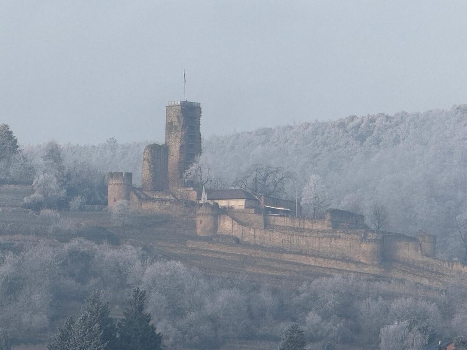 Deutschland - Wachenheim an der Weinstraße - Wachtenburg