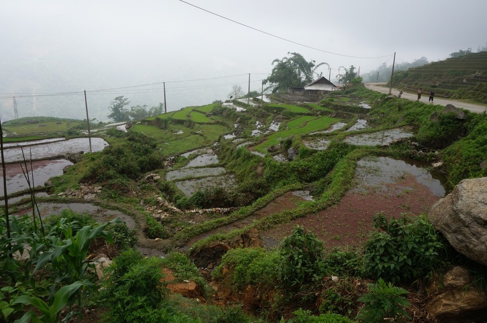 Vietnam -  - 