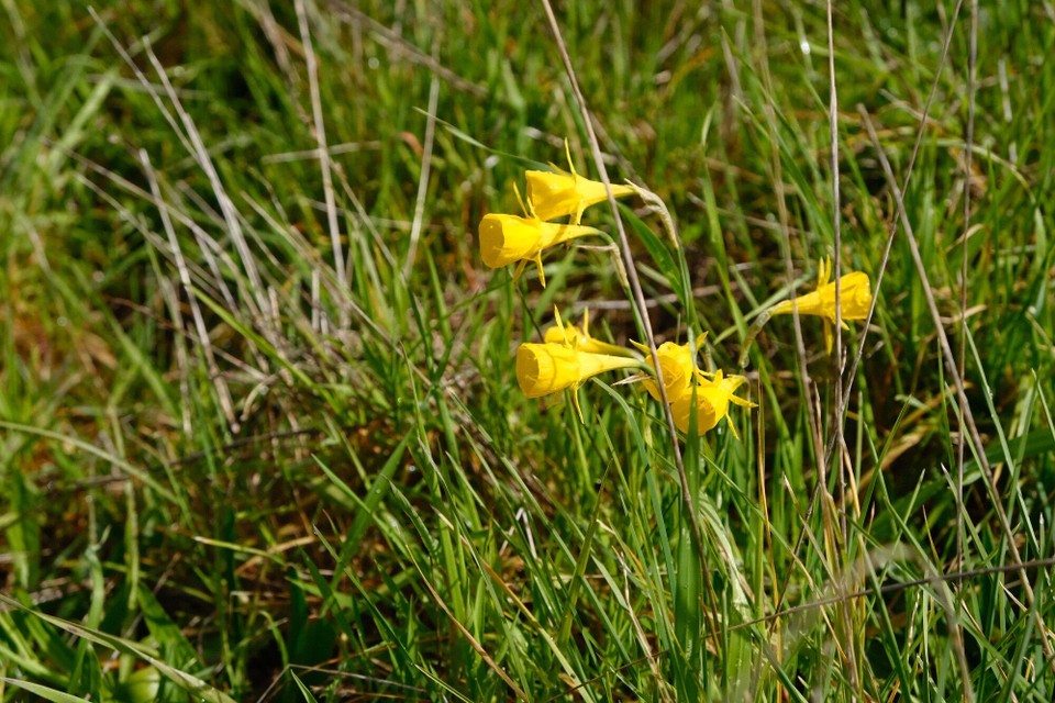 Portugal - Aljezur - 