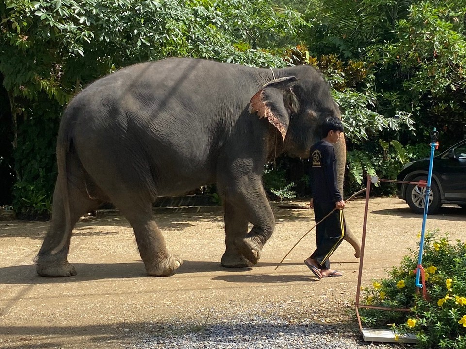 Thailand - Phanom - 
