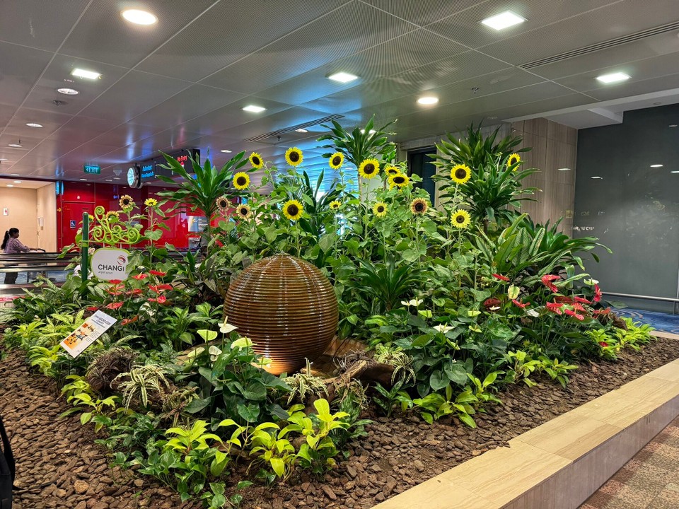 Singapur - Singapur - 