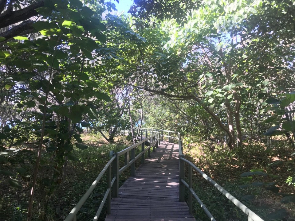 Australia - Bargara - Start of biking bonanza
