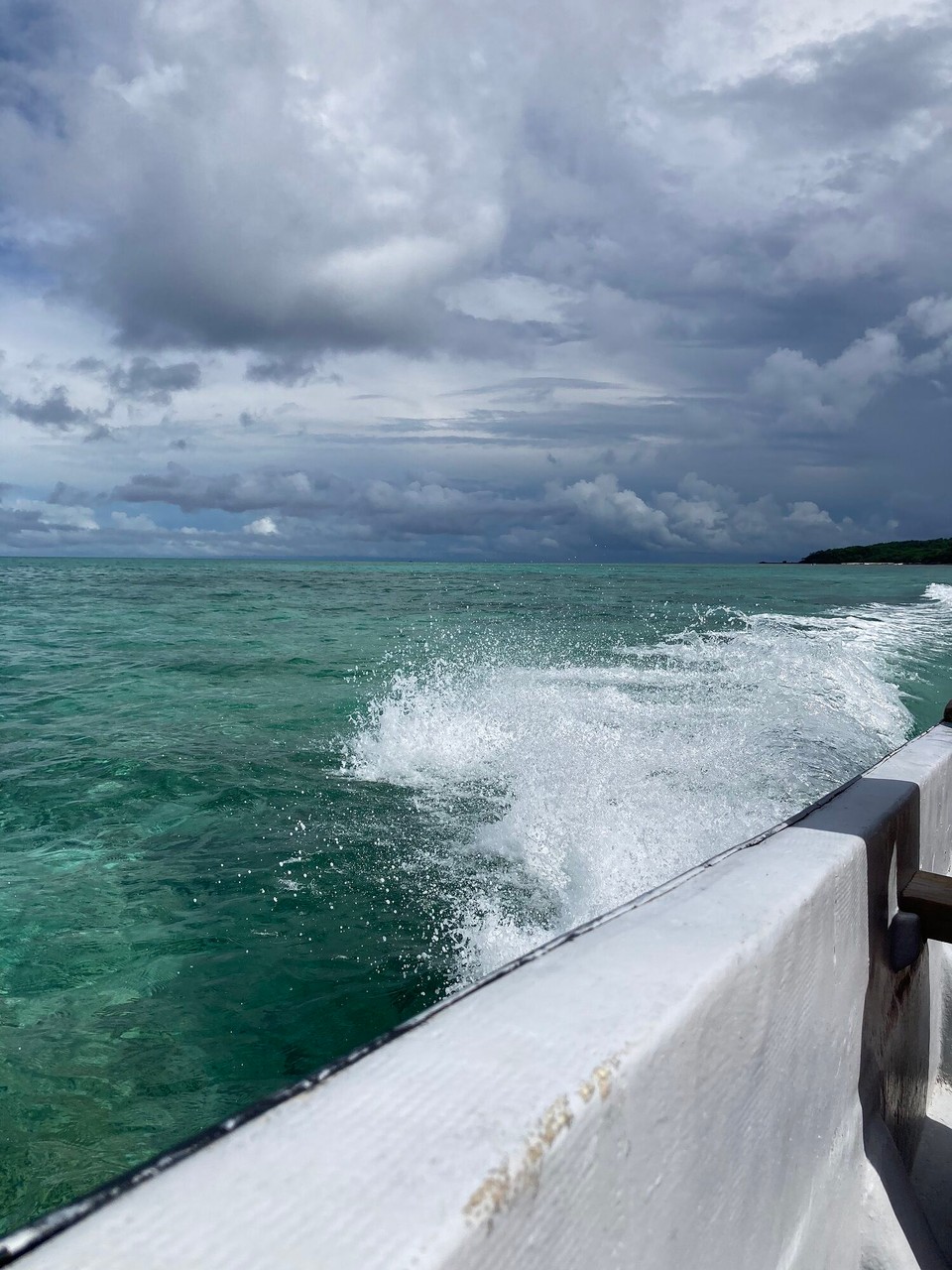  -  - Am Nachmittag ein Ausflug zu den Haien 🤭