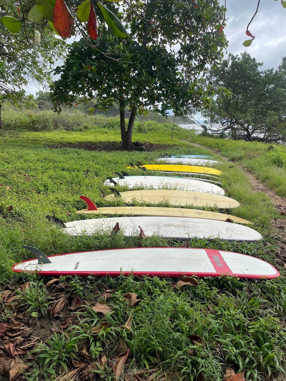 Costa Rica - Santa Cruz - … und dort auch die letzte Surfstunde bekommen 🏄‍♀️ 