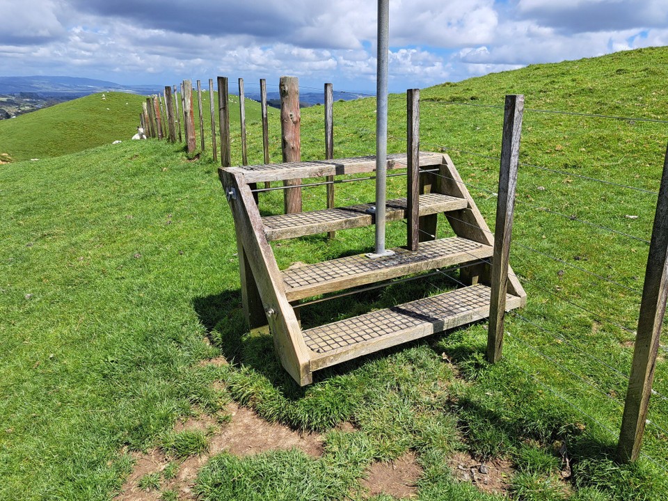 Neuseeland - Mercer - X-mal über Schafzäune 