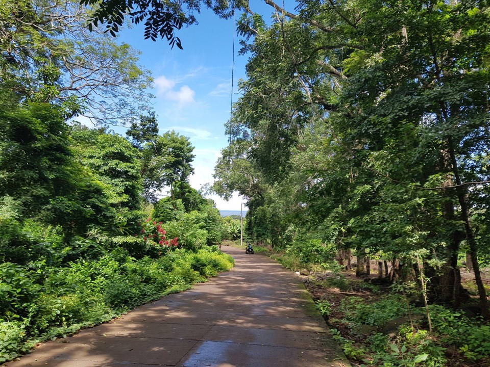 Nicaragua - Ometepe - Landschaft auf Ometepe
