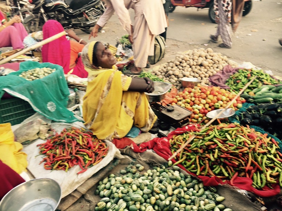 Indien - Jaipur - 