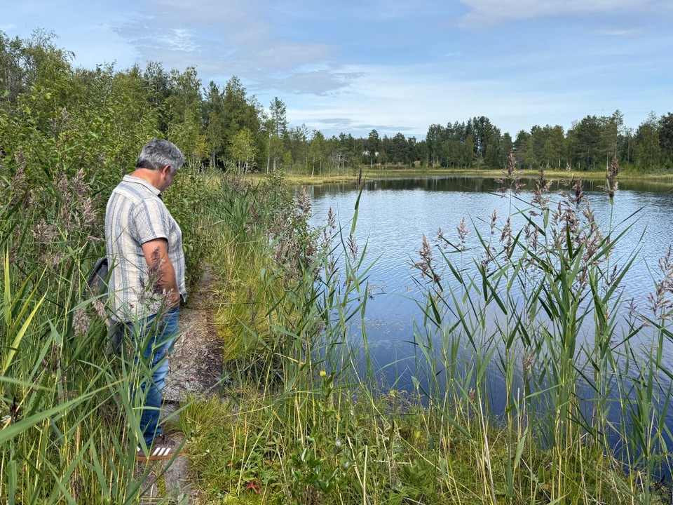Schweden - Östersund - Was sieht er wohl?