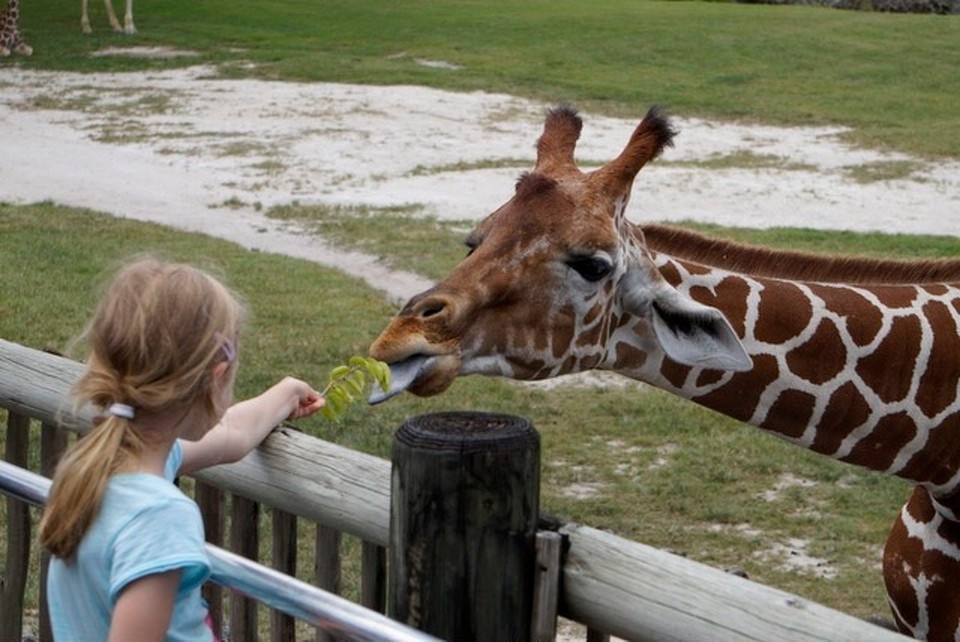  - Zoo Miami - 