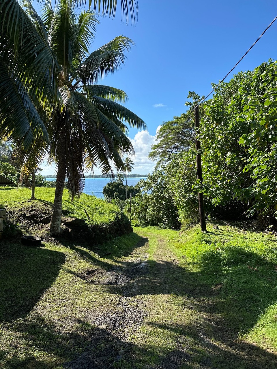 Französisch-Polynesien - Bora-Bora - Morgenspaziergang einmal die Insel überquert