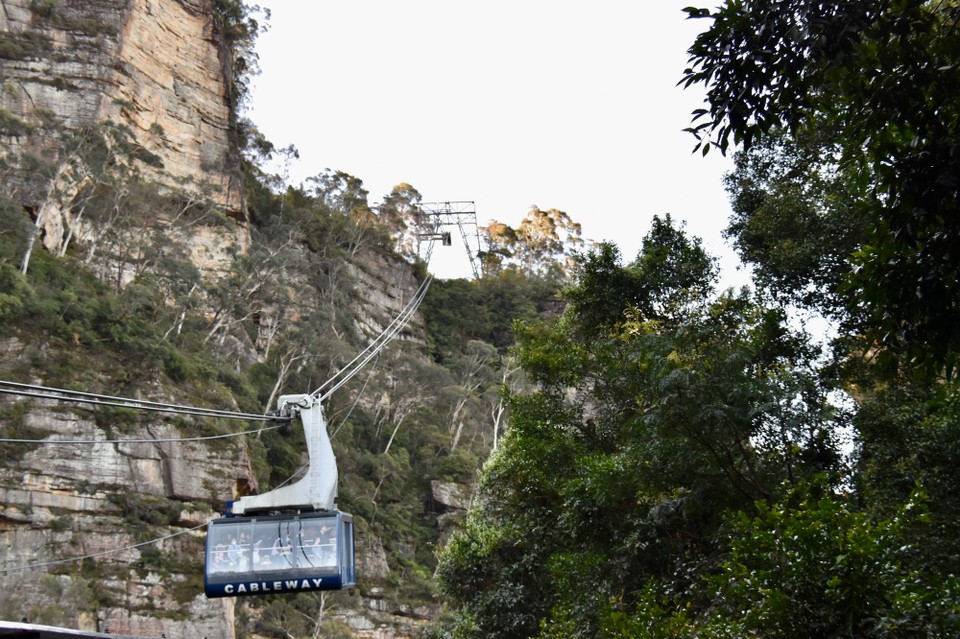 Australien - Blue Mountains National Park - Also fuhren wir mit einer Seilbahn wieder in die Höhe.