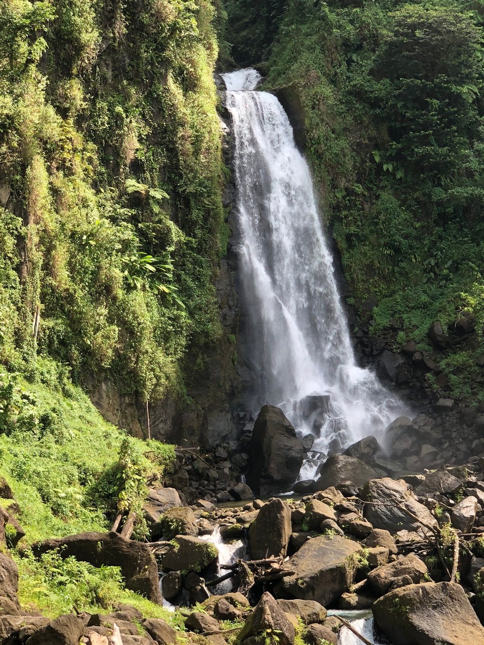 Dominica -  - Trafalgar Wasserfälle