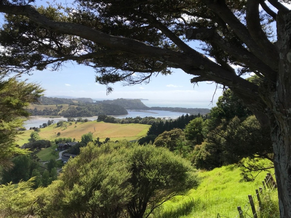 Neuseeland - Coromandel - Coromandel Halbinsel