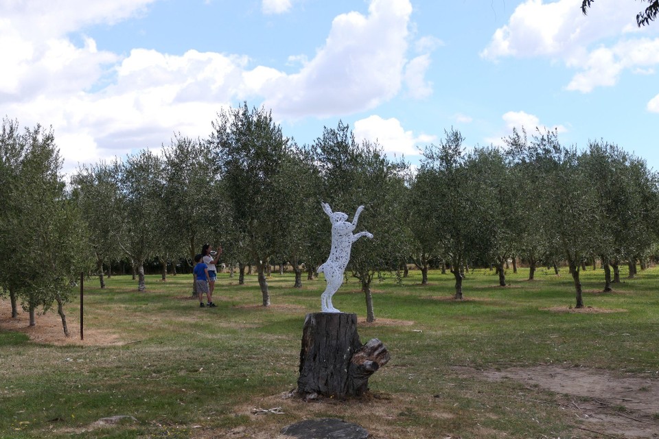 Neuseeland - Martinborough - Sind wir in Italien?