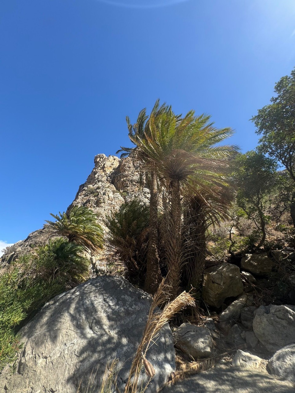 Griechenland - Asomatos - 