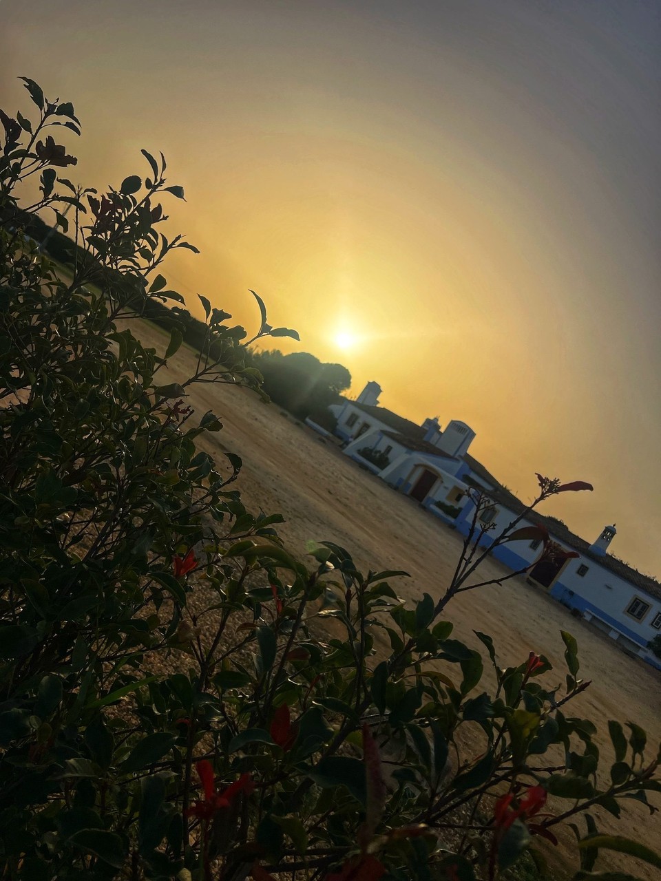 Portugal - Zambujeira do Mar - Und da ist sie auch schon! 