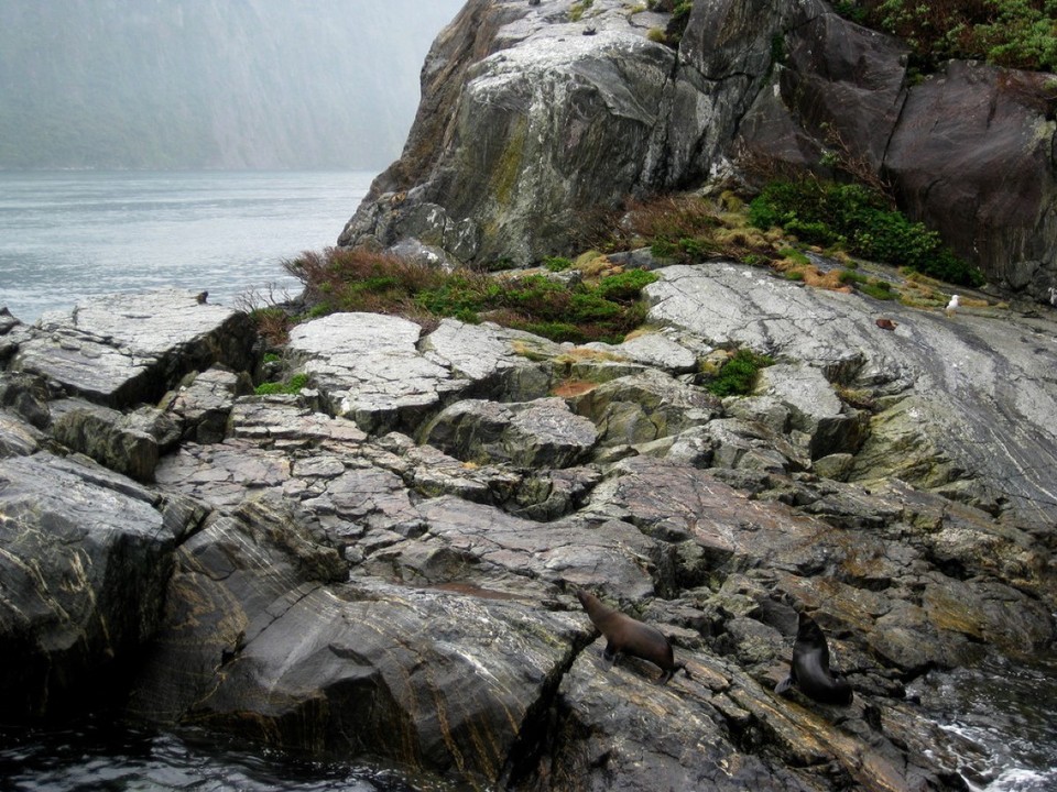 Neuseeland - Milford Sound - 