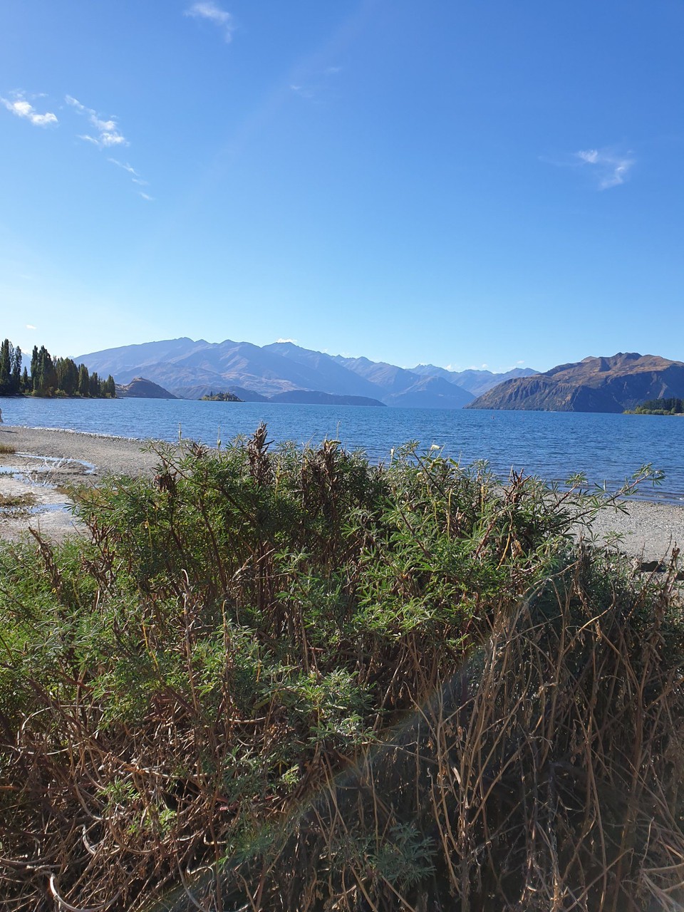 Neuseeland - Wanaka - Lake Wanaka. (Auch folgende)