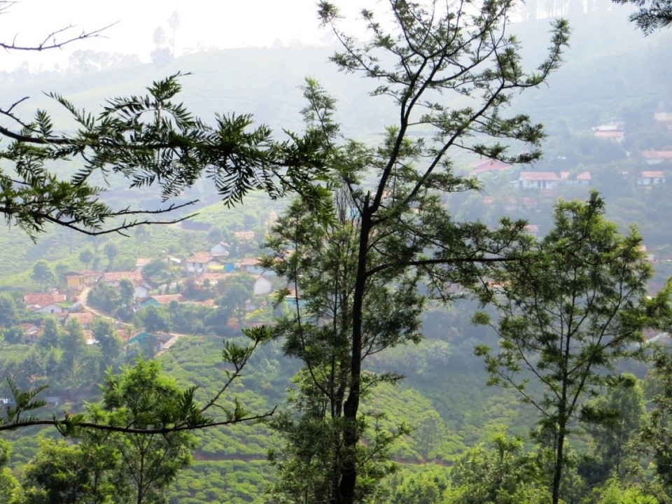 Indien - Coonoor - 