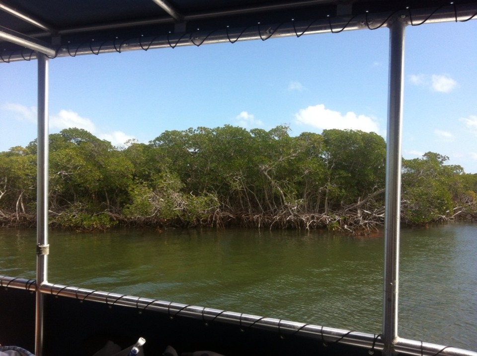 Egyesült Államok - Key Largo - 