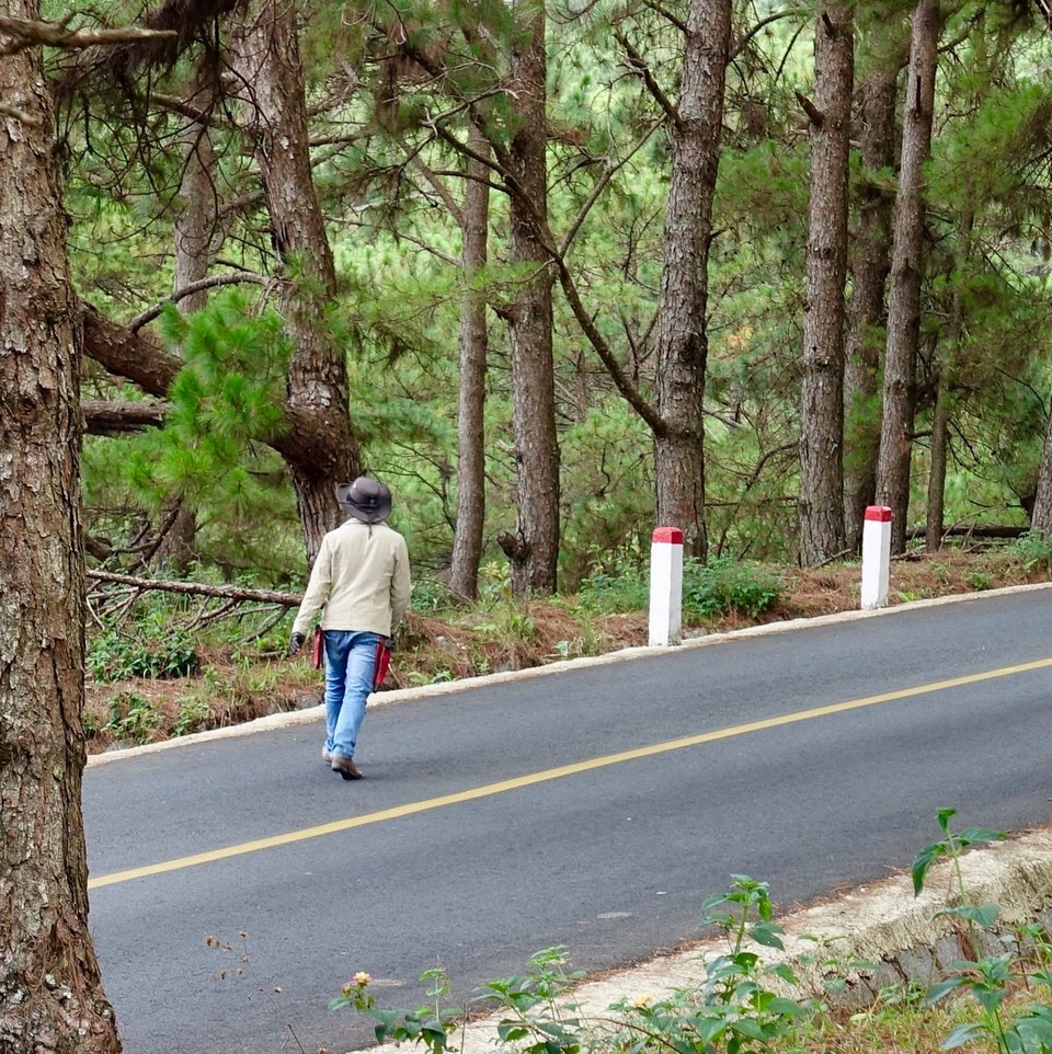 Vietnam - Dalat - Så en cowboy på veien opp, legg merke til pistolene i beltet..