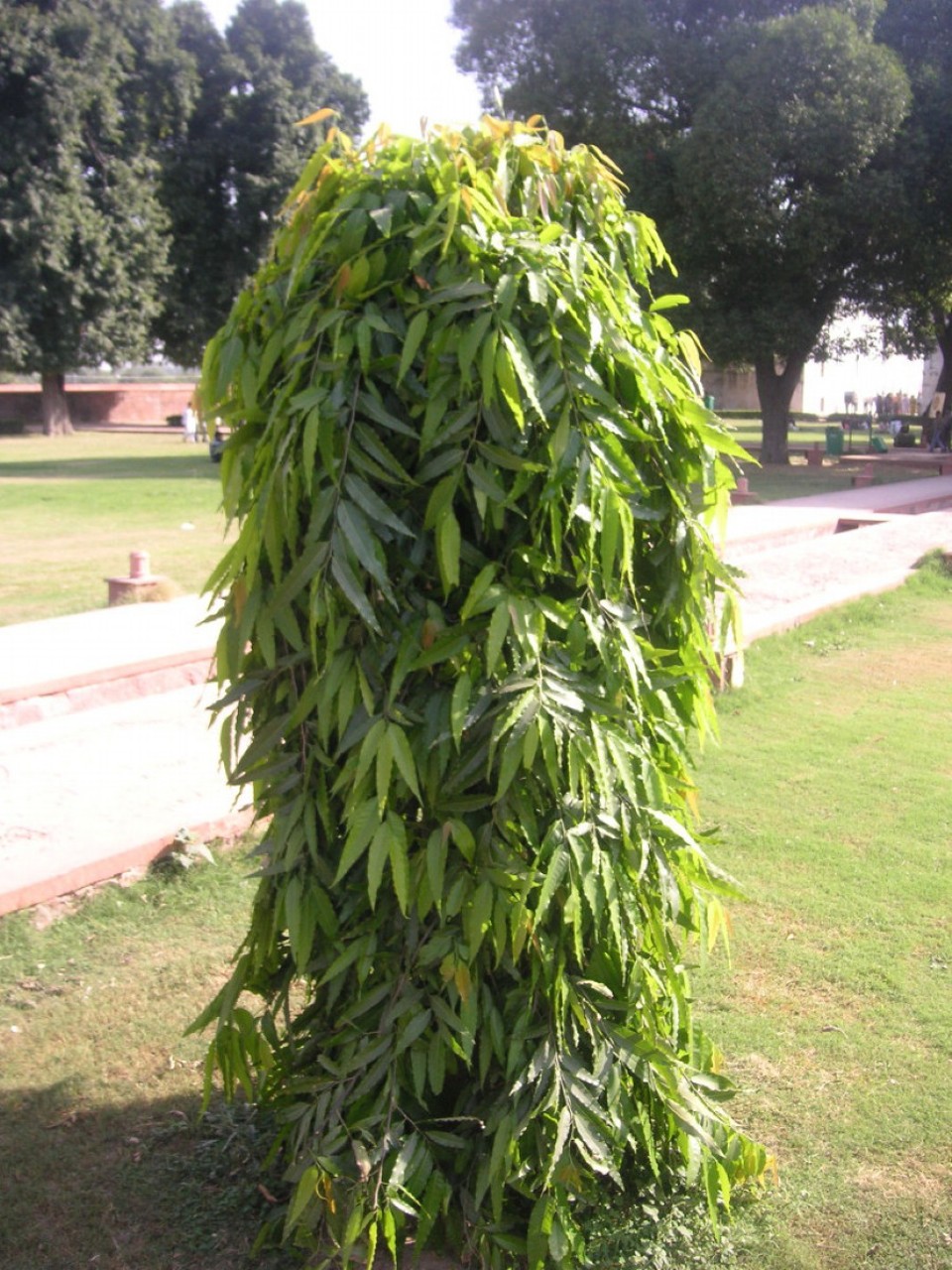 Indien - Neu Delhi - 