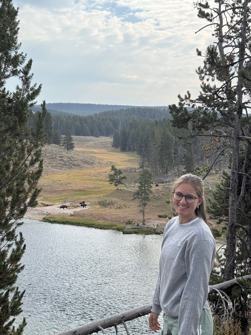 Vereinigte Staaten - Yellowstone National Park - 