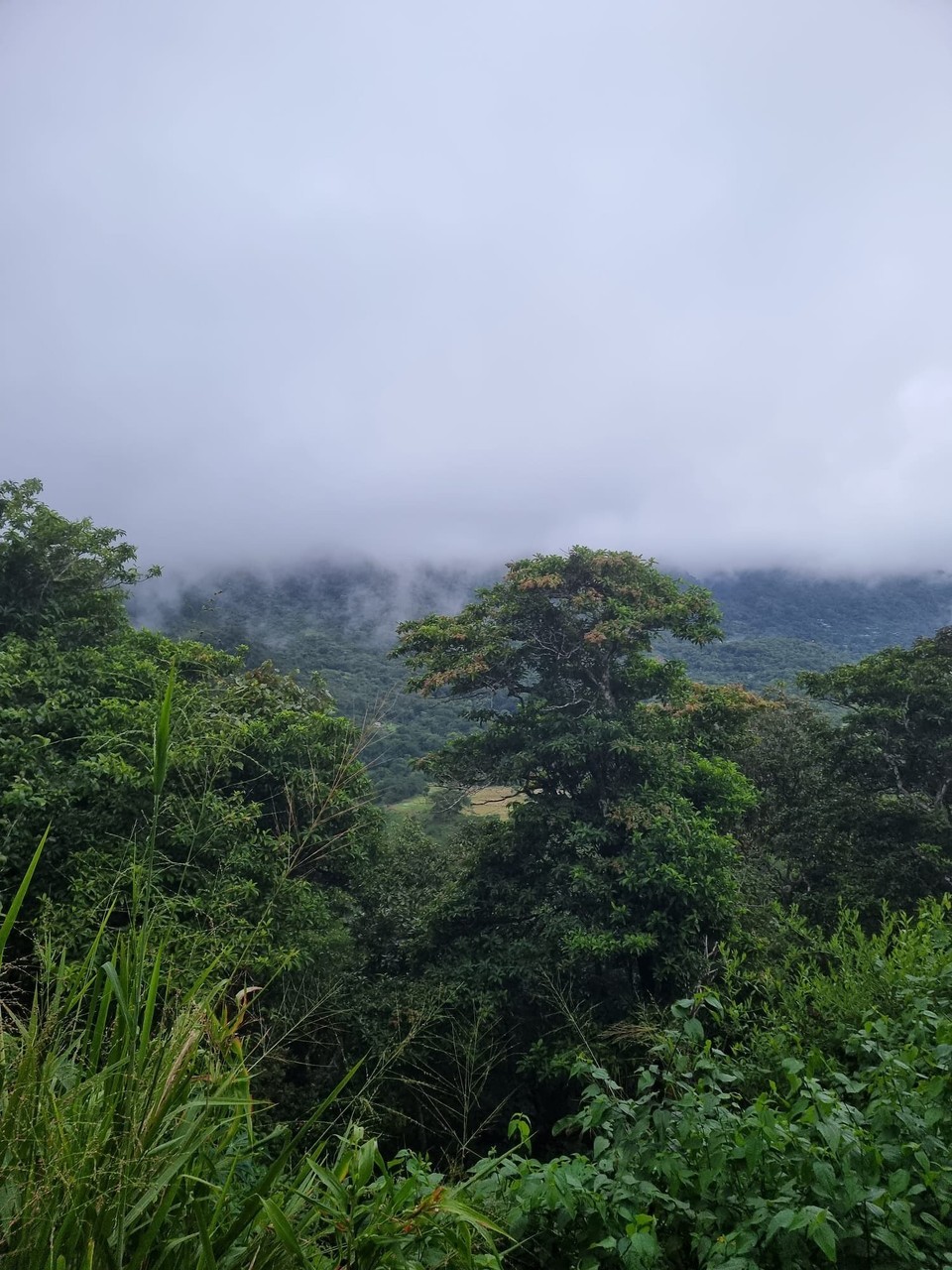 Panama - El Valle de Antón - … die Sichtverhältnisse ließen allerdings zu wünschen übrig 🌫 
