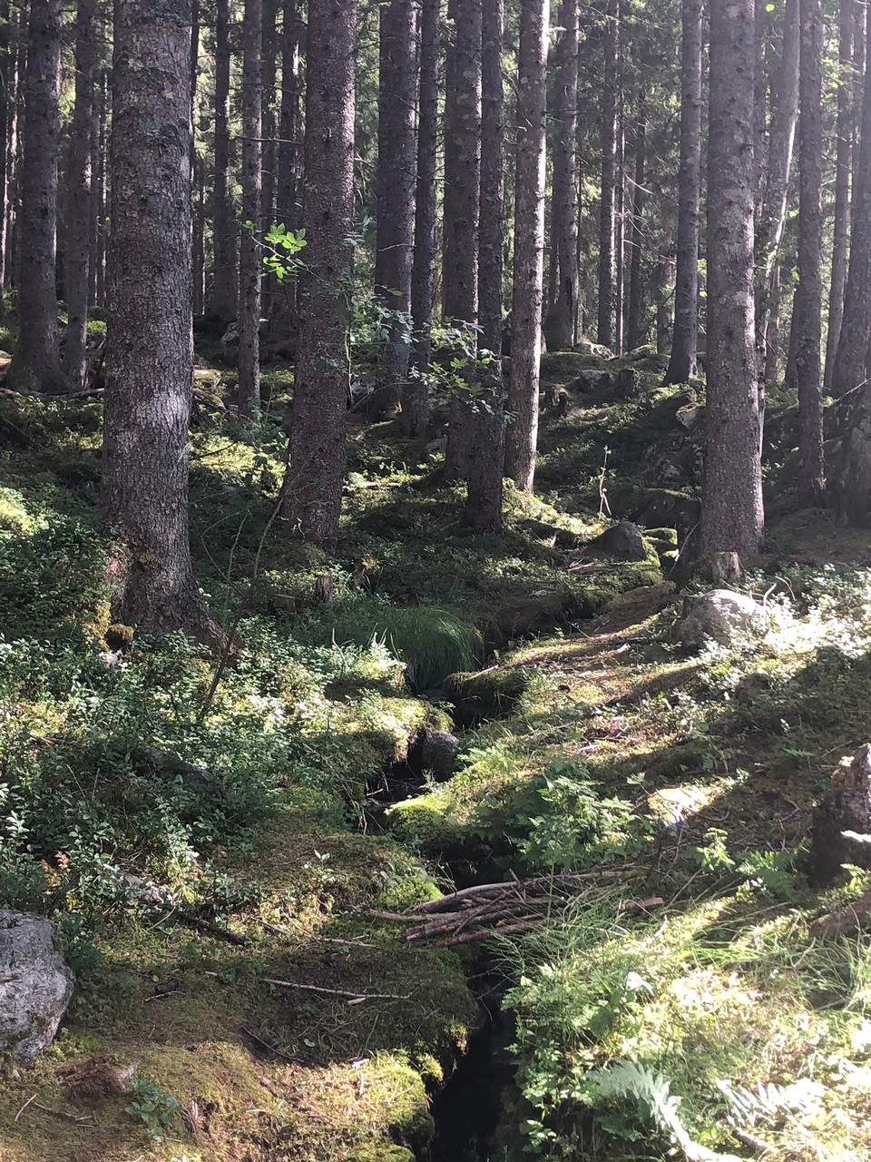 Frankreich - Chamonix - 