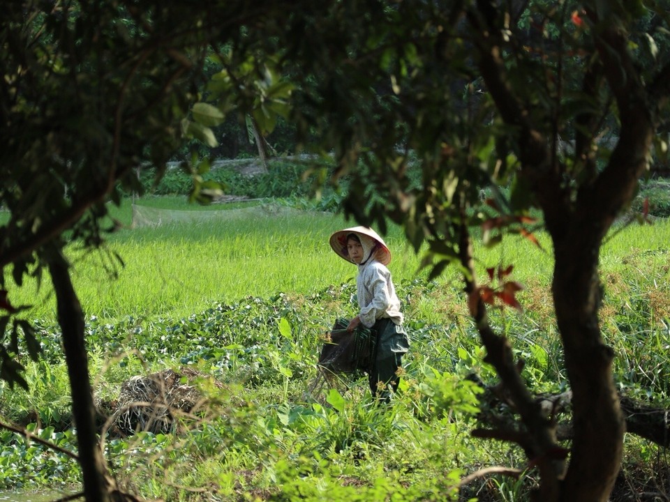 Vietnam - Ninh Bình - 